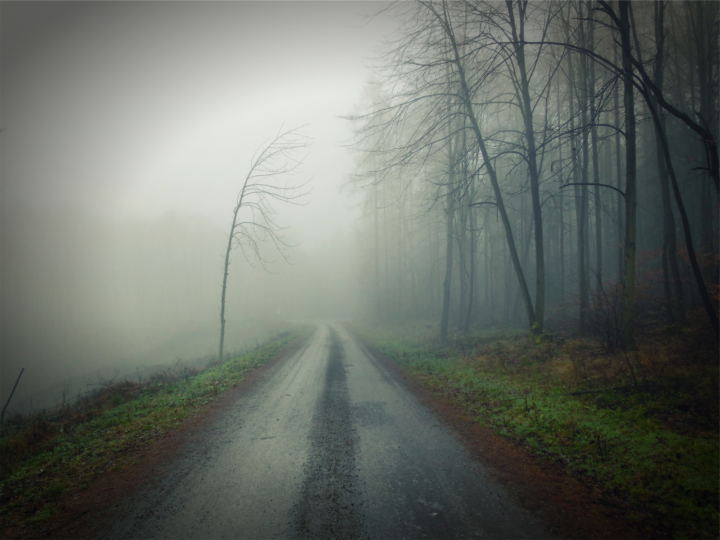This is the caption for "Foggy Road". It’s controlled from the media page and totally optional.